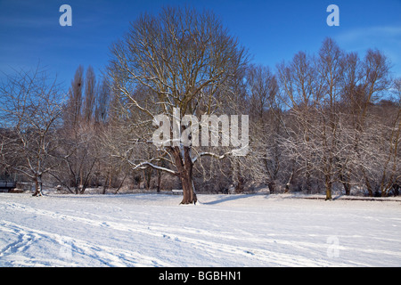 Un inverni paesaggio congelato Hertford Hertfordshire Inghilterra Foto Stock