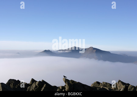 Guardando attraverso di Snowdon dalla sommità del Moel Siabod Snowdonia Galles del Nord Foto Stock