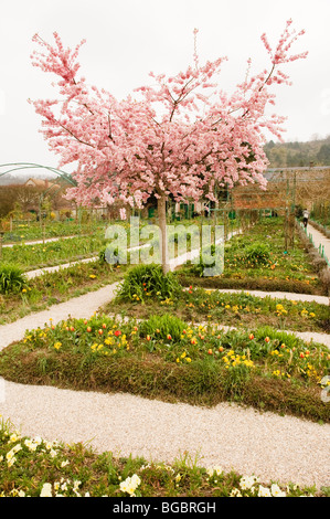 I famosi giardini di Claude Monet che spesso appare nei suoi dipinti. Foto Stock