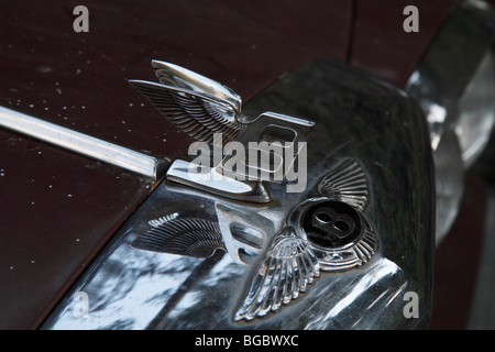 Ornamento del cofano ed emblema di una vecchia Bentley Foto Stock