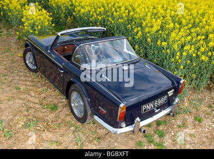 Trionfo TR5 Classic British open auto sportiva Foto Stock