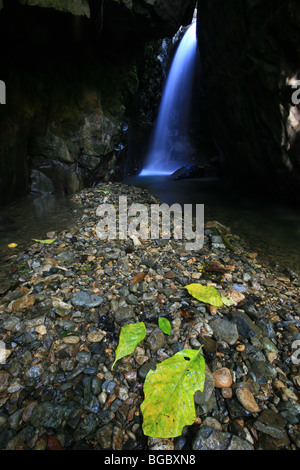 Le belle cascate Chorro las Yayas vicino a El Cope, Cocle Affitto provincia, Repubblica di Panama. Foto Stock