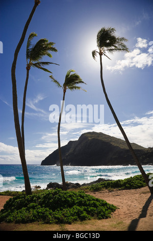 Makauu Beach Park, Oahu Foto Stock
