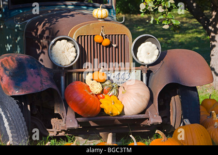 Auto d'epoca e zucche sul display a produrre in stallo Keremeos, Okanagan-Similkameen regione Okanagan, British Columbia, può Foto Stock