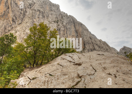 Velika Paklenica Canyon, il Parco Nazionale di Paklenica, le montagne di Velebit, Dalmazia, Croazia, Europa Foto Stock