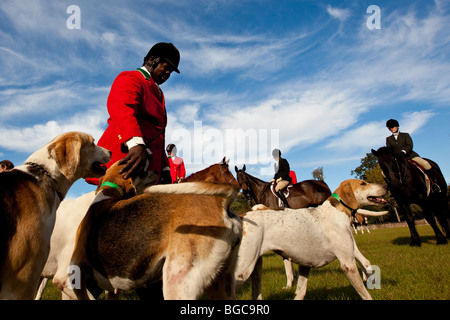 Jamie Greene, master di i segugi durante un foxhunt a Middleton Place plantation Charleston, Sc, STATI UNITI D'AMERICA Foto Stock