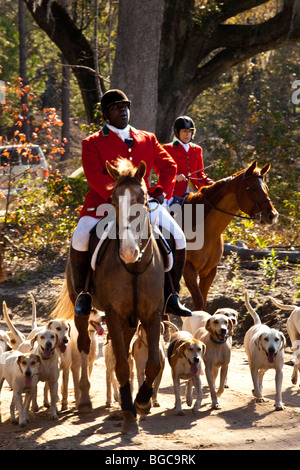 Jamie Greene, master di i segugi durante un foxhunt a Middleton Place plantation Charleston, Sc, STATI UNITI D'AMERICA Foto Stock