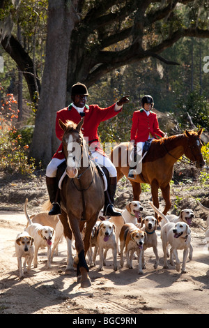 Jamie Greene, master di i segugi durante un foxhunt a Middleton Place plantation Charleston, Sc, STATI UNITI D'AMERICA Foto Stock