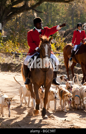 Jamie Greene, master di i segugi durante un foxhunt a Middleton Place plantation Charleston, Sc, STATI UNITI D'AMERICA Foto Stock