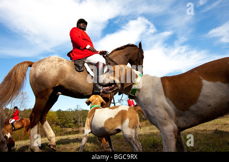 Jamie Greene, master di i segugi durante un foxhunt a Middleton Place plantation Charleston, Sc, STATI UNITI D'AMERICA Foto Stock