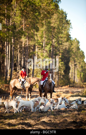 Jamie Greene, master di i segugi durante un foxhunt a Middleton Place plantation Charleston, Sc, STATI UNITI D'AMERICA Foto Stock