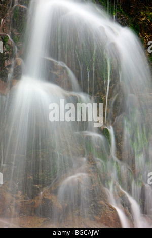 Cascata nella foresta pluviale vicino a Port Alice, Nord Vancouver Island, isola di Vancouver, British Columbia, Canada. Foto Stock