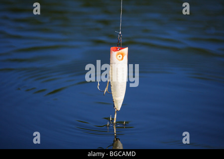 Heddon chugger spook XRW 9540 esca di pesca sulla superficie dell'acqua grande bocca bass esca Foto Stock