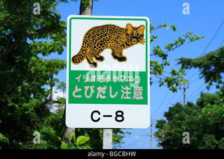 Cartello stradale di Iriomote Gatto Selvatico, Iriomote Isola di Taketomi, Okinawa, in Giappone Foto Stock
