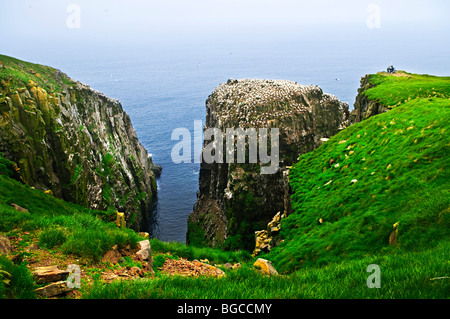 I turisti a scogliere di Capo Santa Maria ecologiche del santuario degli uccelli in Terranova Foto Stock