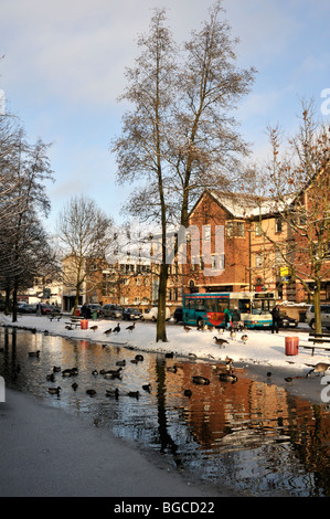 Fiume Gade in inverno, Hemel Hempstead, Hertfordshire, Regno Unito. Foto Stock