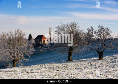Arrivo dell' inverno in Brionnais région. Saône et Loire (71), la Borgogna. Francia Foto Stock