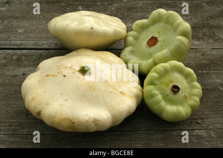 Verde e bianco patty pan si schiaccia sulla scheda del granaio Foto Stock