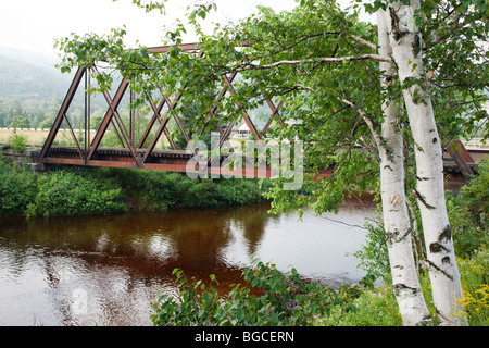 Traliccio ferroviario lungo la vecchia Boston e Maine Railroad vicino Fabyans in Carroll, New Hampshire USA Foto Stock