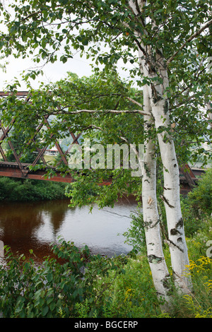 Traliccio ferroviario lungo la vecchia Boston e Maine Railroad vicino Fabyans in Carroll, New Hampshire USA Foto Stock