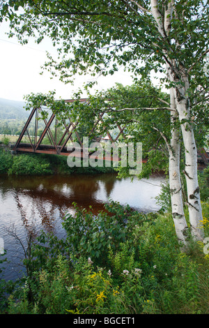 Traliccio ferroviario lungo la vecchia Boston e Maine Railroad vicino Fabyans in Carroll, New Hampshire USA Foto Stock