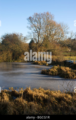 Congelati paesaggio con iced sul lago, (giorno di Natale 2009 in Paulton, Bristol, Somerset) Foto Stock