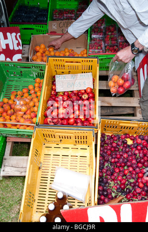 Frutta e verdura vengano venduti dal bagagliaio di un furgone Foto Stock
