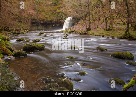 Signora cade (Sgwd Gwladys) cascata sul Afon Pyrddin River, Pontneddfechan, Neath Valley, South Wales, Regno Unito Foto Stock