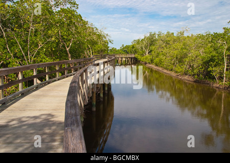 Il Boardwalk in 400 acri di Robinson preservare in Manatee County in Bradenton Florida Foto Stock