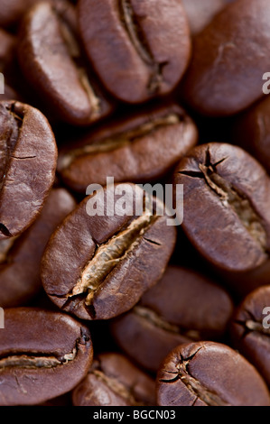 Chicco di caffè closeup Foto Stock