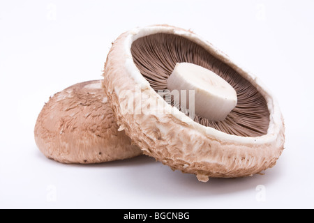 Fungo Portabello isolata contro uno sfondo bianco. Foto Stock