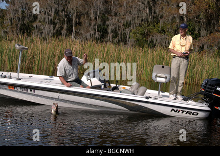 Due pescatori di guardare un LARGEMOUTH BASS, che è stato catturato su un worm di plastica in un Central Florida lago, salto a boatside. Foto Stock