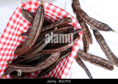 Un cestello con maturi carruba baccelli frutto di carrubo (Ceratonia siliqua) raccolte in Dalmazia, Croazia. Foto Stock