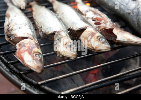 Grigliate di pesce (sardine e sgombri) cottura su un mini grill barbecue Foto Stock