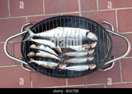 Grigliate di pesce (sardine e sgombri) cottura su un mini grill barbecue Foto Stock