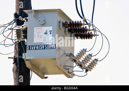 AC ad alta tensione del trasformatore di potenza in una fattoria in Sud Africa Foto Stock