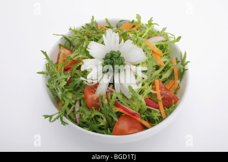 Colorato con insalata di lattuga frisée, pomodoro, ravanelli, carote, cipolline e giardino crescione, con vinaigrette dressing in s Foto Stock