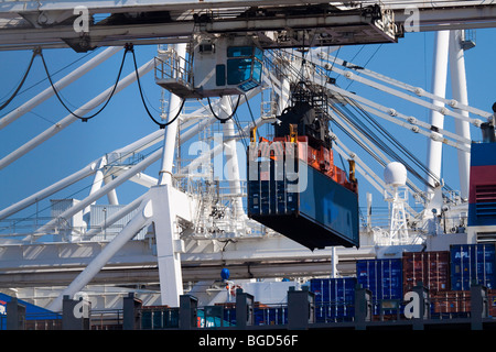 Contenitore il sollevamento con gru portainer contenitore di spedizione dalla nave da carico Foto Stock