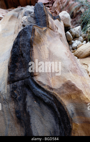 Mondo naturale del deserto in Giordania Foto Stock