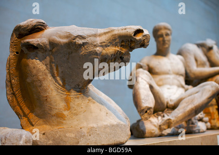 Frontone sculture del Partenone noti come i marmi di Elgin sul display presso il British Museum di Londra REGNO UNITO Foto Stock