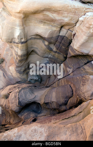 Mondo naturale del deserto in Giordania Foto Stock