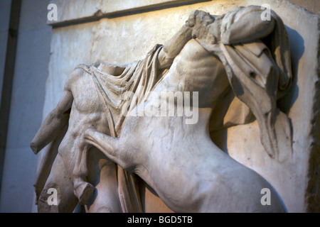 I dettagli dei pannelli scolpiti o meotopes dal Partenone che mostra la lotta tra Lapiths e centauri nel British Museum Foto Stock