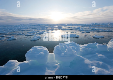 Mare di ghiaccio nel fiordo, Tiniteqilaq, Groenlandia Foto Stock