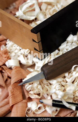 Uno studente di esercitare in incastro a coda di rondine rendendo presso il Centro per la lavorazione del legno sottile, Wakapuaka, Nelson, Nuova Zelanda Foto Stock