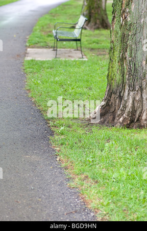 Un percorso a piedi con un banco e grandi coperte di muschio tronco di albero da un lato. Foto Stock