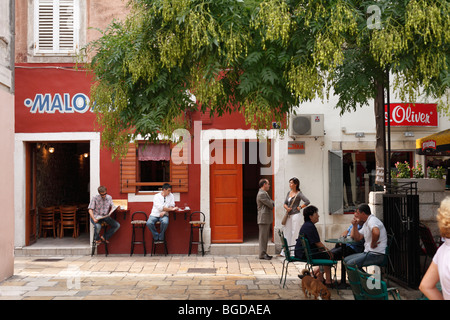 Città vecchia di Zara, Dalmazia, Croazia, Europa Foto Stock