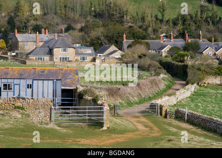 Terreni agricoli Abbotsbury, Dorset, England, Regno Unito Foto Stock