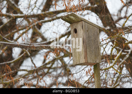 Birdhouse nella struttura ad albero a d'inverno. Foto Stock