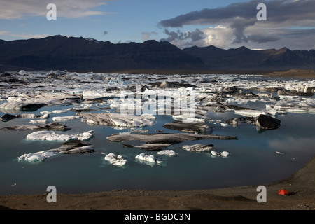 Iceberg e ice floes, Joekulsárlón lago glaciale, Islanda, Europa Foto Stock