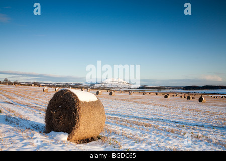 Le balle di paglia e largo diritto in inverno, Scozia Foto Stock